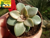 Cr�ations PGF 2025